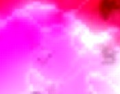 sanitaer add url