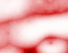 lueftung mit waermerueckgewinnung